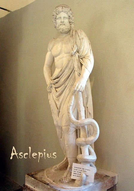 0215 asclepius.jpg